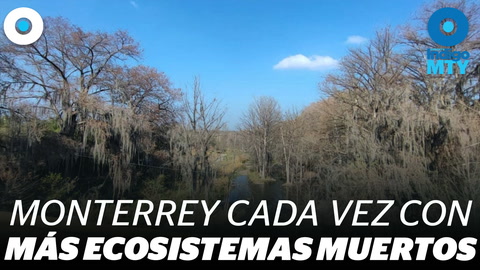 Ecosistemas muertos en Nuevo León | Indigo MTY