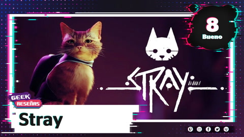 REVIEW Stray