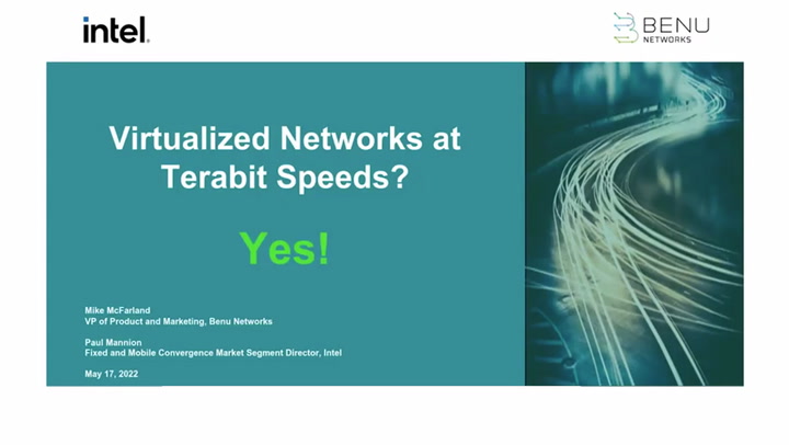 Virtualized Networks at Terabit Speeds? Yes!