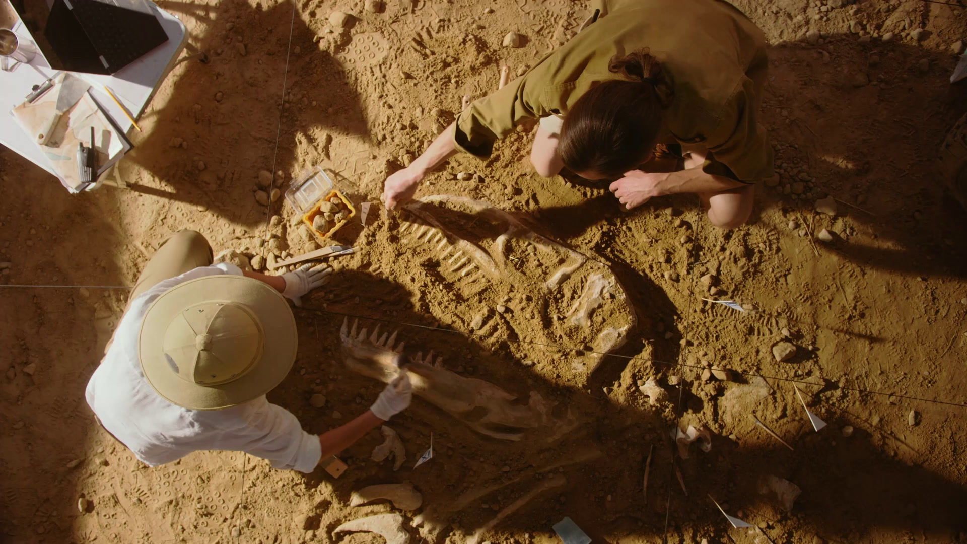 Why Don’t We Find Humans Buried with Dinosaurs?