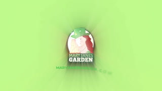 Feminized Marijuana Seeds Mary Jane’s Garden