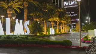 CEO unsure if Palms will reopen – VIDEO