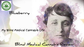 Blind Medical Cannabis Review Blueberry Indica