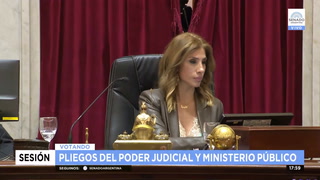 Senado. Tras doble empate, se aprobó el pliego de la jueza Ana María Figueroa