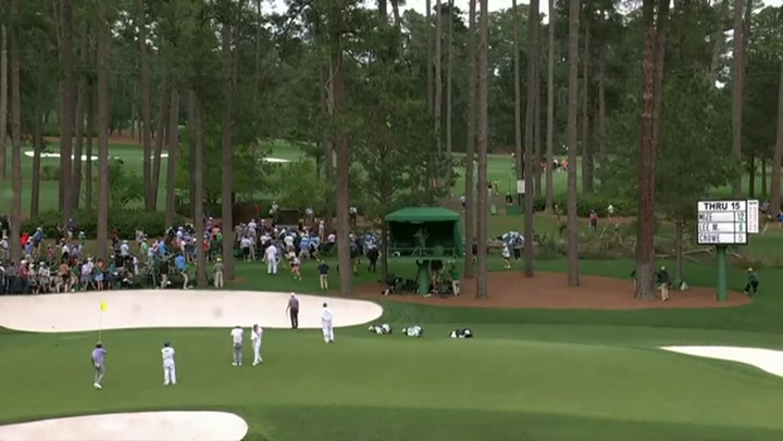 Terrifying moment towering pine trees fall on spectators at the Masters