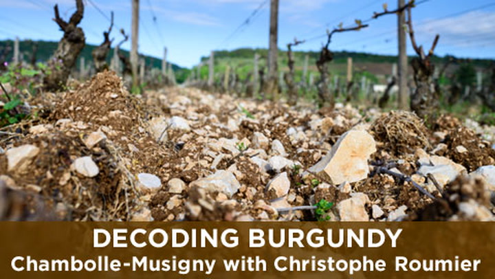 Decoding Burgundy: Chambolle-Musigny w Roumier