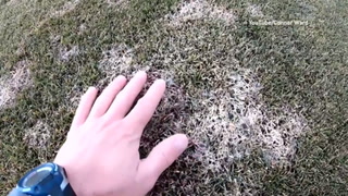 A hidden fungus was growing under the snow and it's about to hit your allergies hard