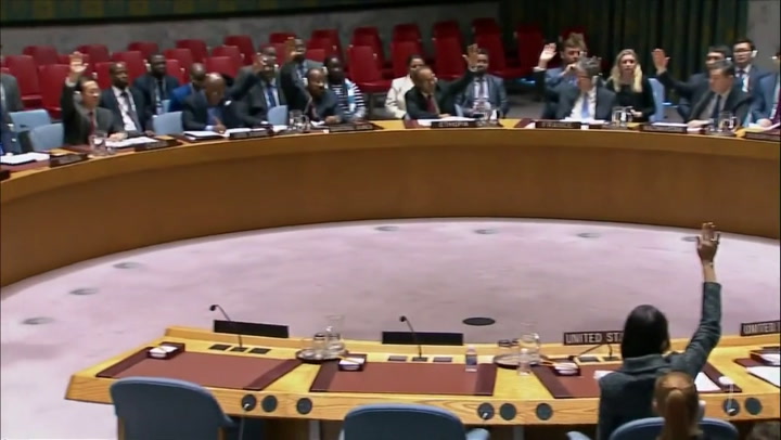 El consejo de seguridad de la ONU respalda el cese al fuego en Siria