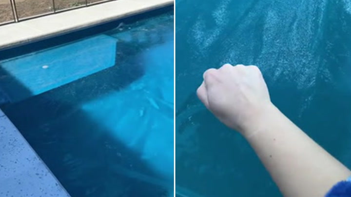 Dallas woman's entire swimming pool freezes over in cold snap