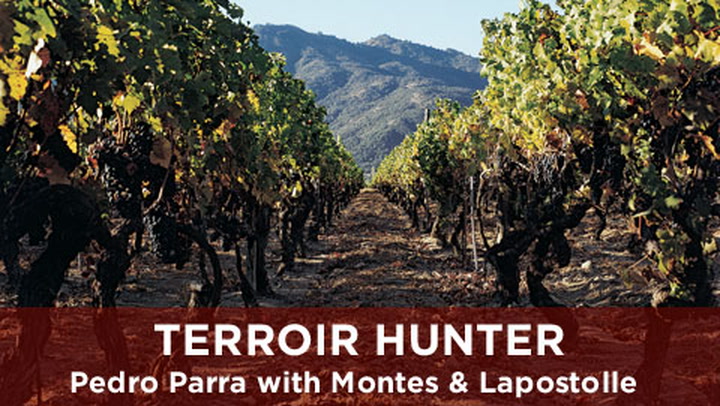 Terroir Hunter: Pedro Parra + Chile's Apalta Vineyard