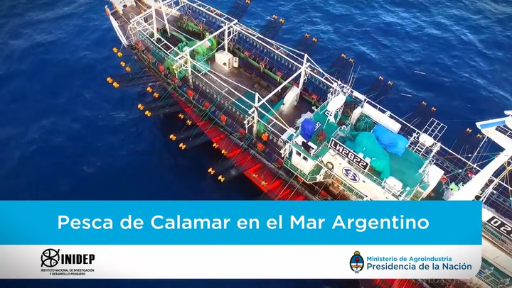 Documental: Pesca sustentable de Calamar en Argentina (fuente: INIDEP)