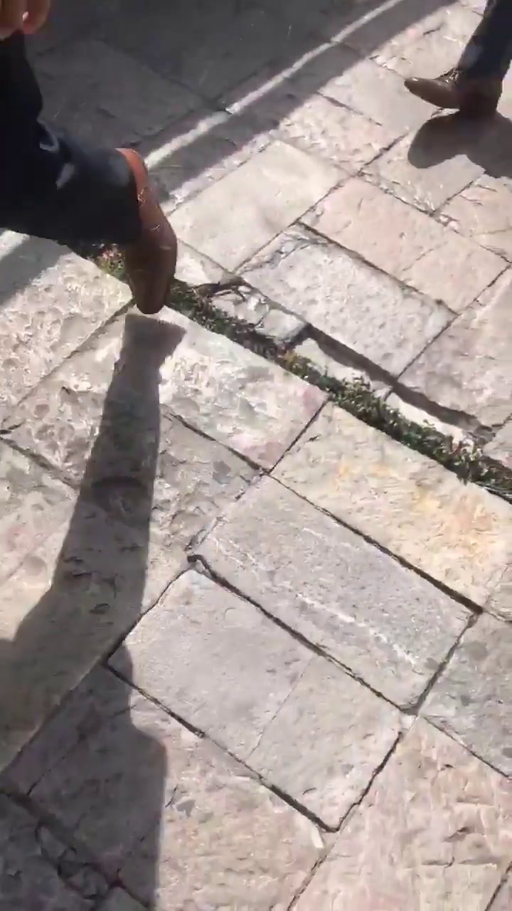 Movimiento del suelo después del terremoto en México - Fuente: Twitter