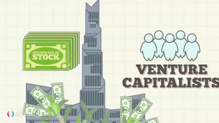 Venture Capitalist (VC) Definition