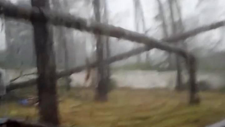 Child screams in fear as tree falls on Florida home as Hurricane Idalia devastates state