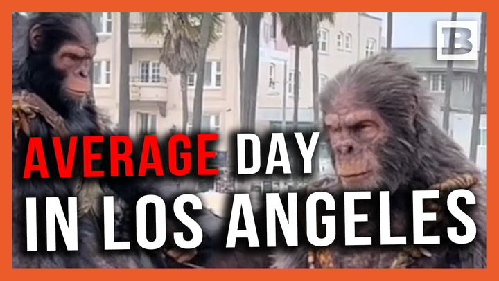 Average Day in L.A.! Planet of the Apes Marketing Goes Viral on Venice Beach