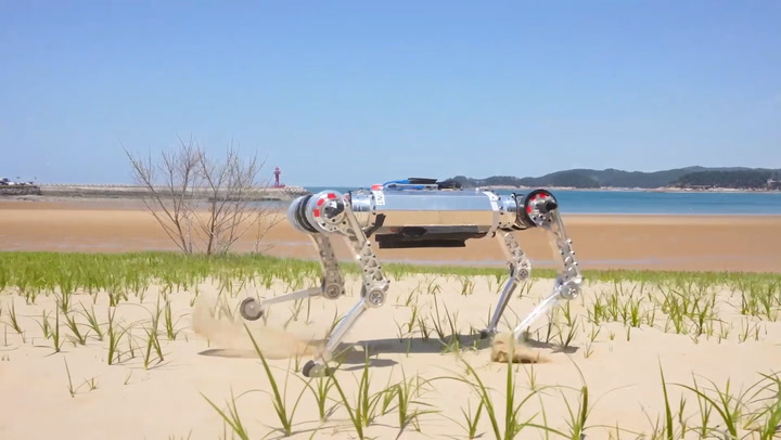 'Robot dog' can run on sand dunes at three metres per second