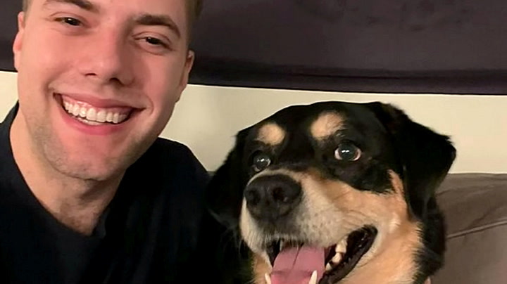 Comedian trains housemate’s dog to recognise ‘The Boys are Back in Town’ as signal for walk