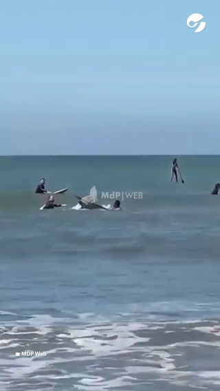 Dos surfistas se agarraron a las trompadas en el medio del mar