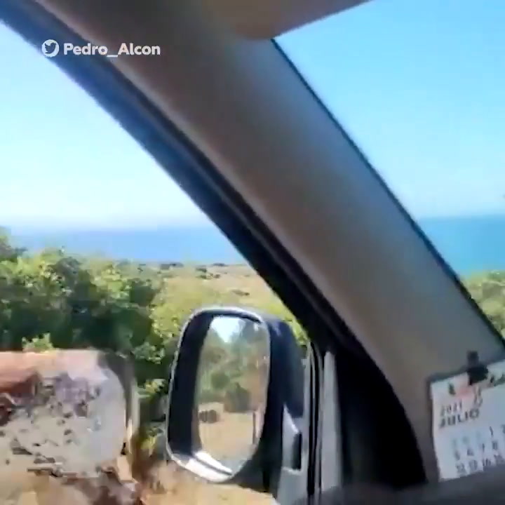 Un conductor le pregunta el camino a una vaca y la reacción del animal lo descoloca