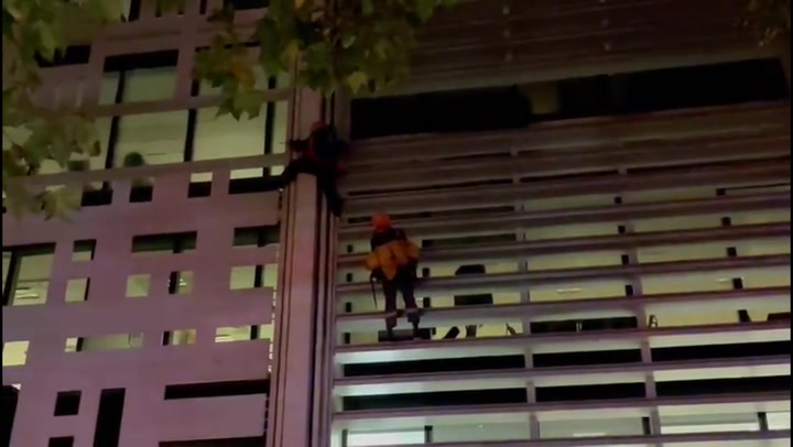 Animal rights protesters scale Home Office building in London