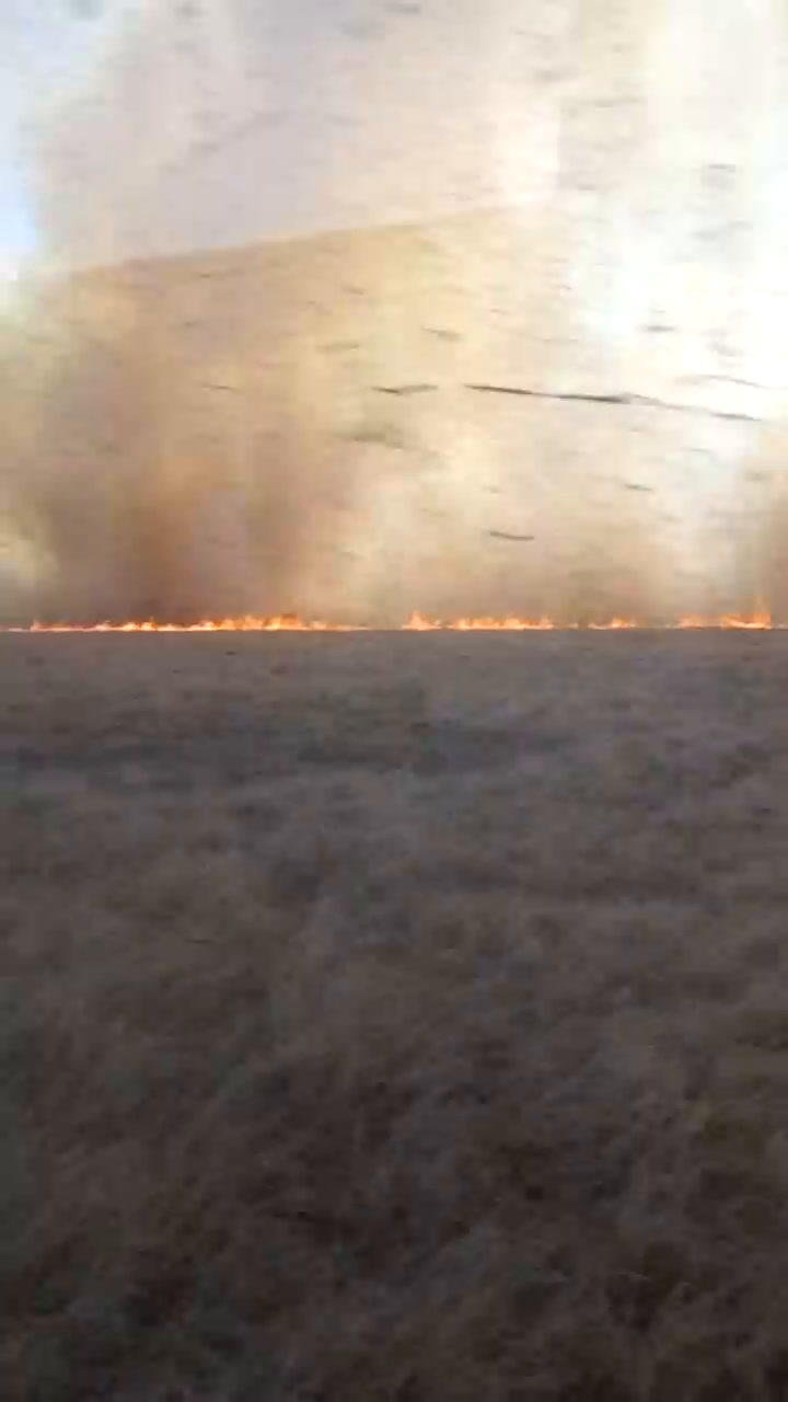 Incendio de 700 hectáreas en Cañada Ombú, Santa Fe