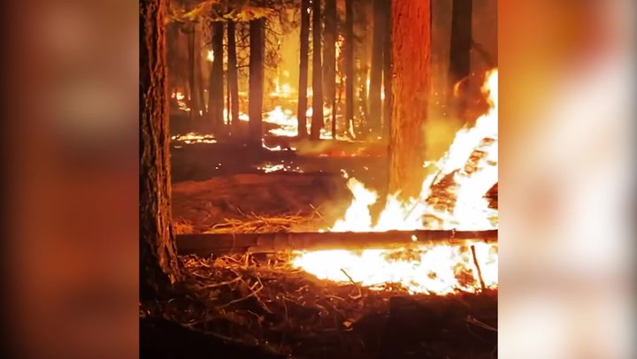 Terrifying video shows scene inside Caldor wildfire