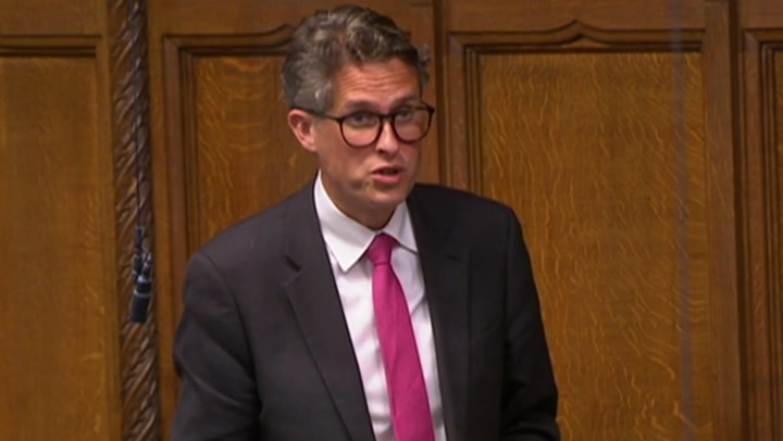 Gavin Williamson apologises to MPs for bullying former Tory chief whip