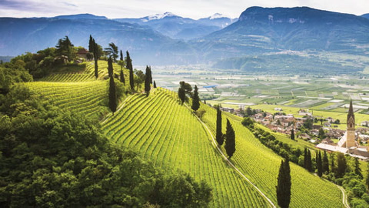 Wine Spectator Tip: Trentino-Alto Adige Wines