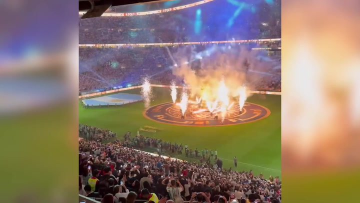 Elon Musk shares video from World Cup final in surprise appearance