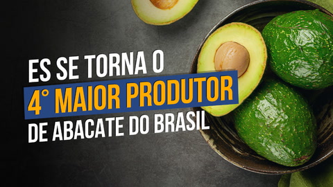 Fruta é usada da alimentação até a indústria de cosméticos e, no Espírito Santo, quase 25 mil toneladas foram produzidas em 2022