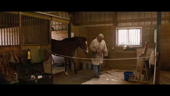 El caballo de carrera desahuciado que aprendió a pintar y salvó su vida - Fuente: Youtube