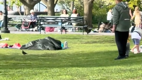 Video: Har sex midt i parken