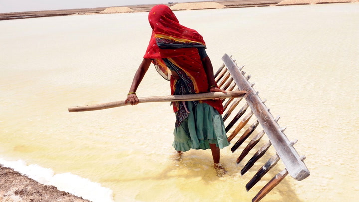 How these farmers got stuck in a desert harvesting salt for $4 a ton