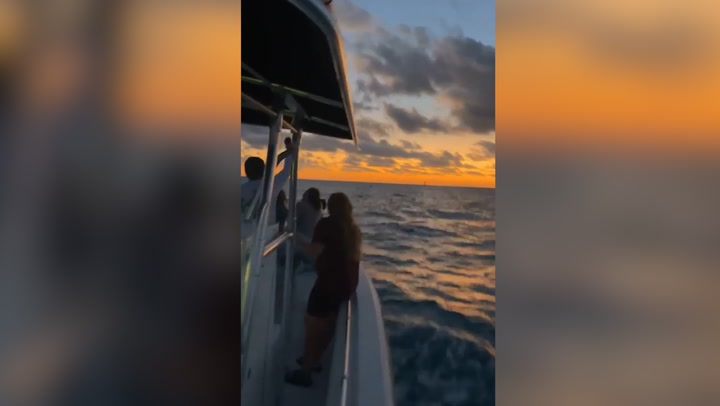 Watch moment family locate missing diver after current swept him away