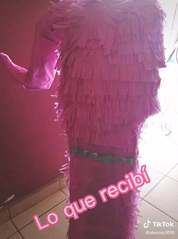 La joven logró un viral luego de que la piñata que compró nada tuviera que ver con la que pidió