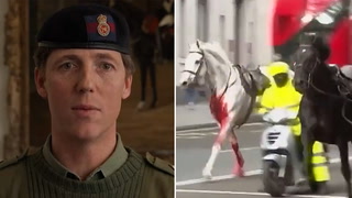 Army shares update after cavalry horses rampage through London