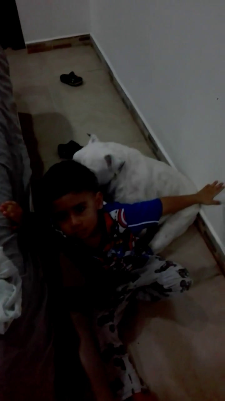 El video viral de un niño que protege a su perro de los retos de su madre - Fuente: Facebook