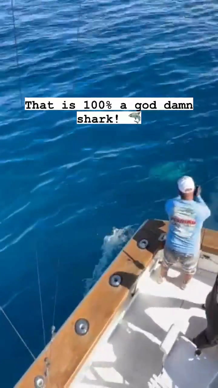 Un niño de 12 años logró pescar un tiburón blanco en Florida