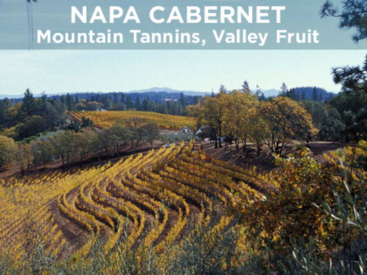 Napa Cab: Mountain Fruit / Valley Fruit