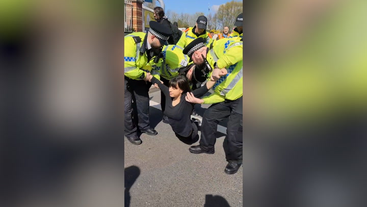 Police carry protester away as demonstration held outside Grand National
