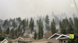 4 steps to protect your home and prepare for wildfire season