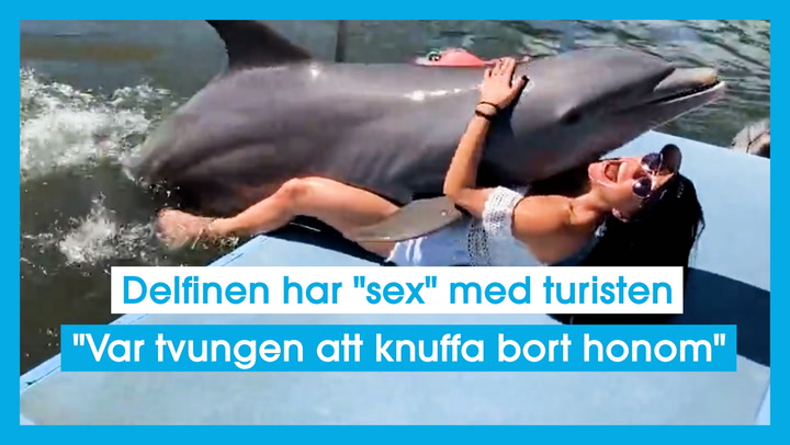 Delfinen har "sex" med turisten "Var tvungen att knuffa bort honom"
