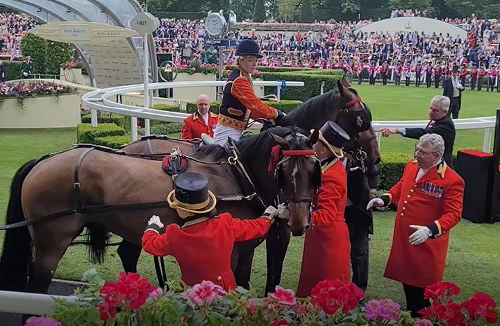 Dramatic moment horse pulling Royal carriage into Ascot gets spooked