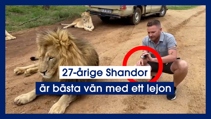 27-årige Shandor är bästa vän med ett lejon