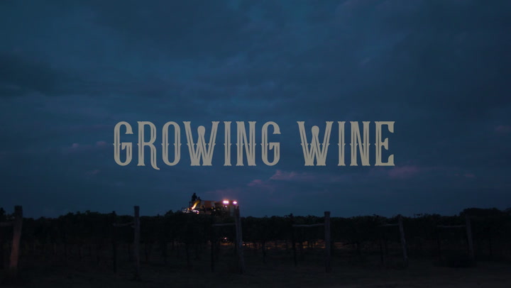 Growing Wine: 2021 Video Contest Honorable Mention