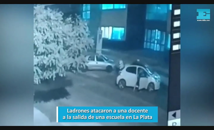 La Plata: así fue el violento ataque a una docente