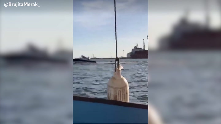 Twitter: comparte el momento en el que una ballena aplasta una embarcación en Sinaloa