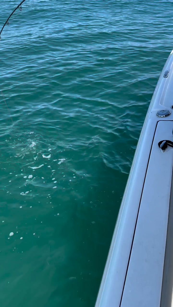 Un grupo de tiburones empezaron a atacar el motor de su lancha mientras pescaban en Cabo Cañaveral, Florida