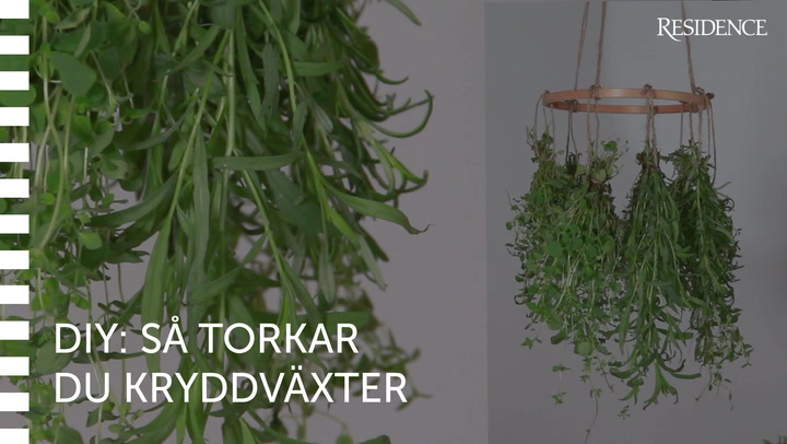 DIY: Så torkar du kryddväxter