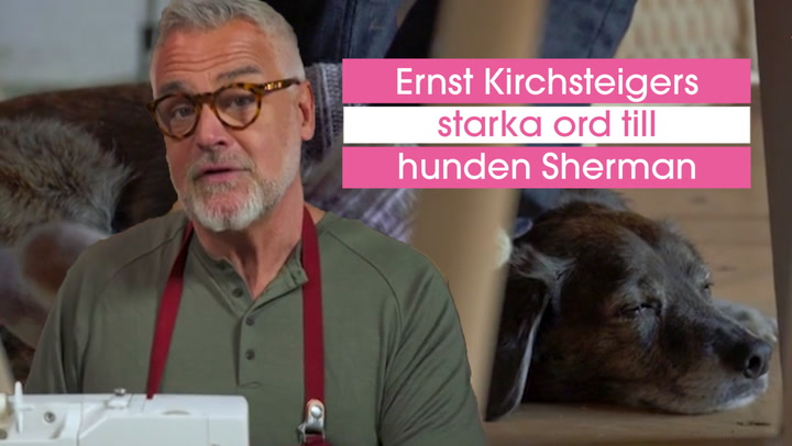 Ernst Kirchsteigers starka ord till hunden Sherman